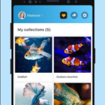 تنزيل تطبيق Picture Fish – Fish Identifier