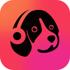 تحميل تطبيق Muso Music Player اخر اصدار 2024 للاندرويد والايفون مجانا